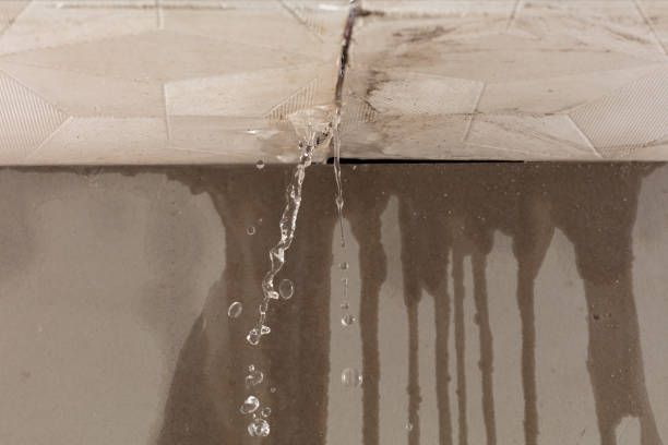 Professional Sewage Cleanup technician working in Ludlow Falls, OH